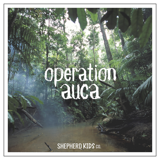 Operation Auca