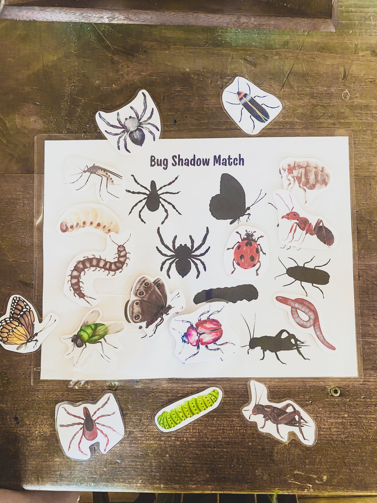 God Made Creepy Crawlies