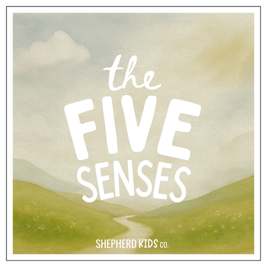 The Five Senses