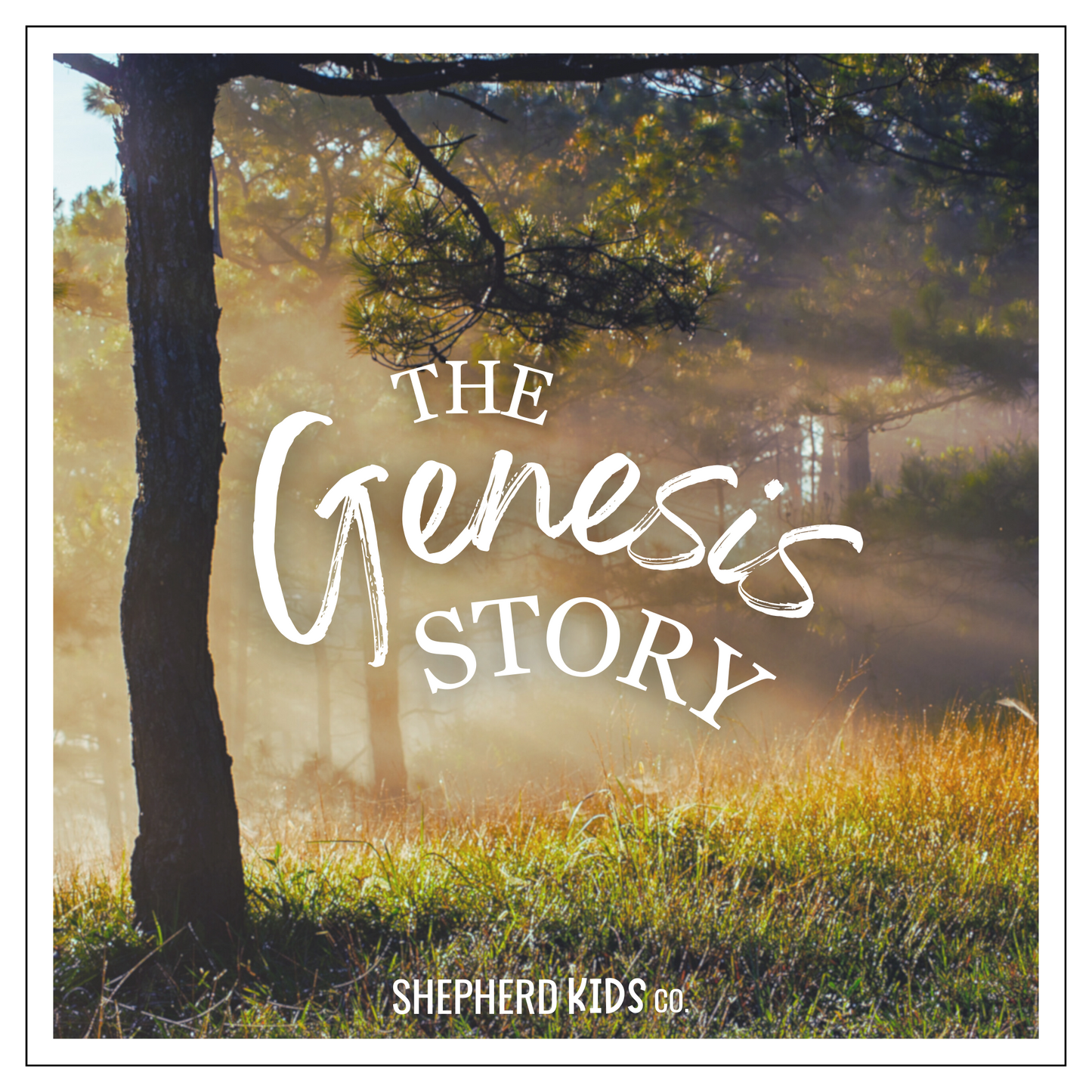 The Genesis Story