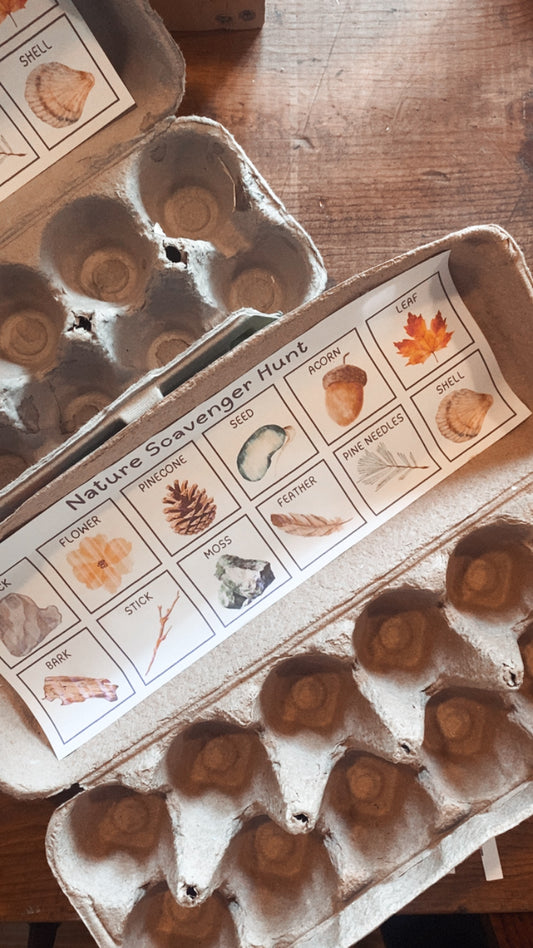 Egg Carton Scavenger Hunt